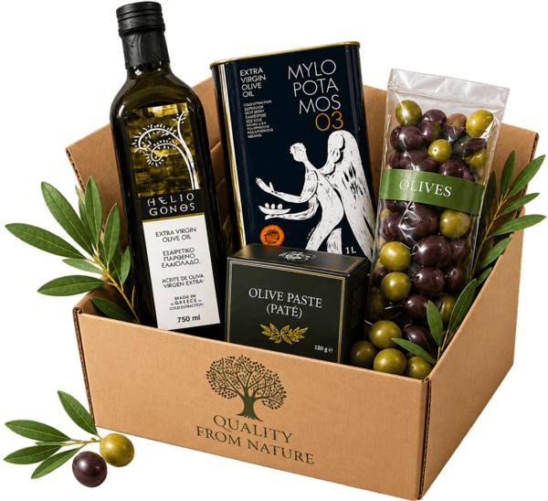 Gift Box